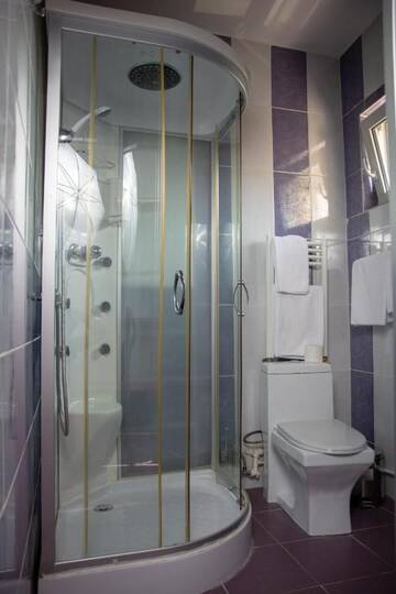 Фото номера Двухместный номер эконом-класса с 1 кроватью Гостевой дом Iris Boutique г. Отопень 11