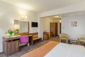 Фото номера Представительский номер Отель RIN Airport Hotel г. Отопень 13