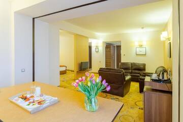 Фото номера Люкс Отель RIN Airport Hotel г. Отопень 8