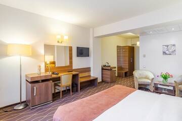 Фото номера Представительский номер Отель RIN Airport Hotel г. Отопень 4